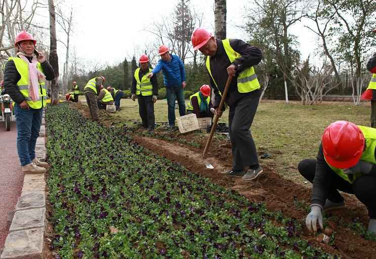 Z6尊龙·凯时(中国)-官方网站
