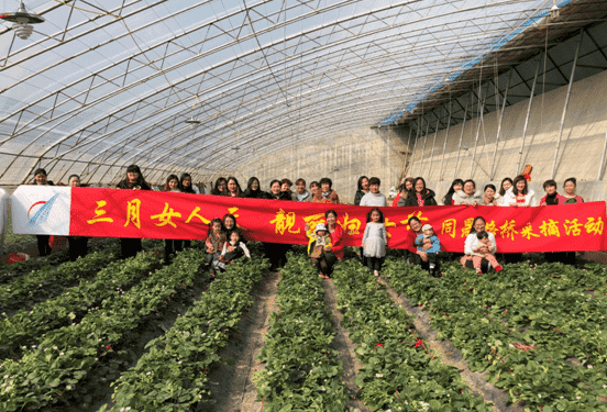 Z6尊龙·凯时(中国)-官方网站