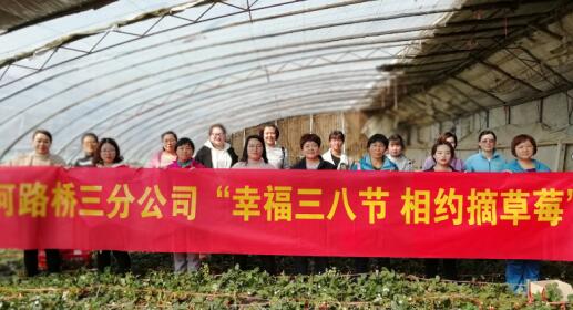 Z6尊龙·凯时(中国)-官方网站