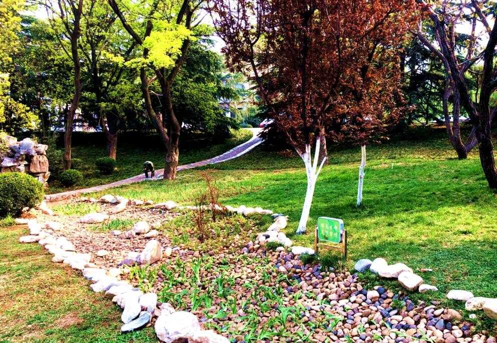 Z6尊龙·凯时(中国)-官方网站