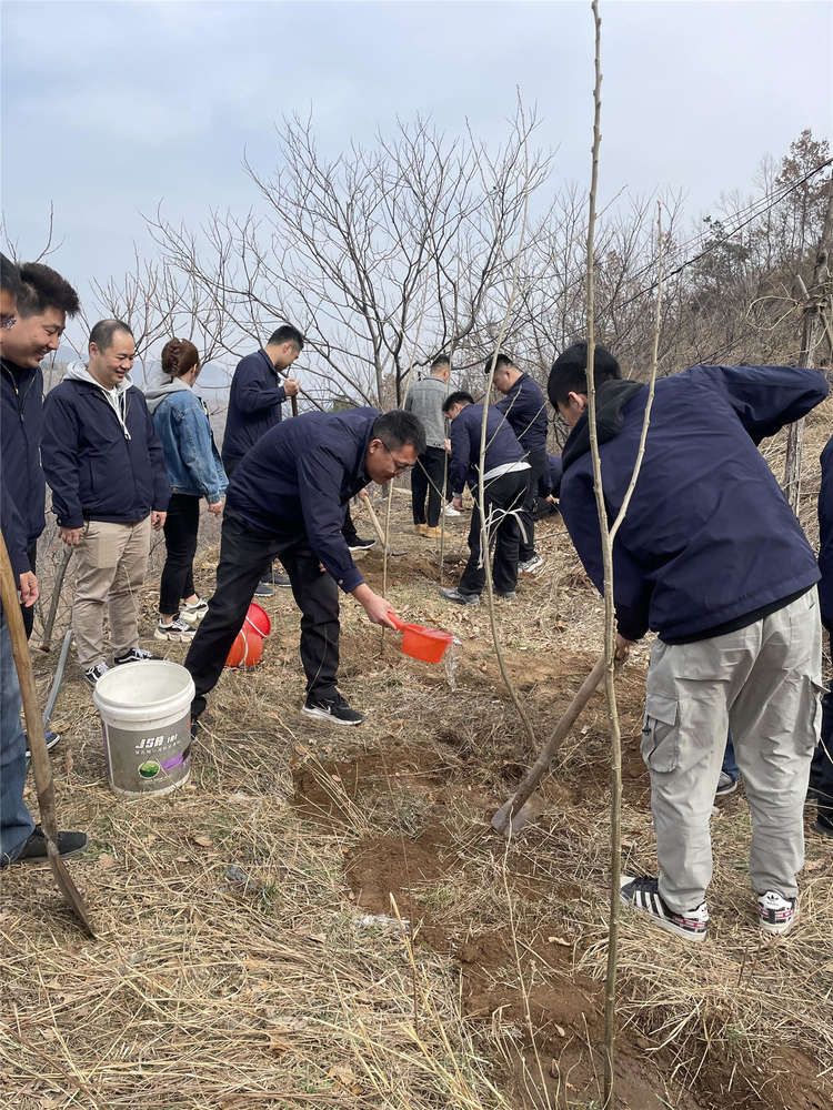 Z6尊龙·凯时(中国)-官方网站