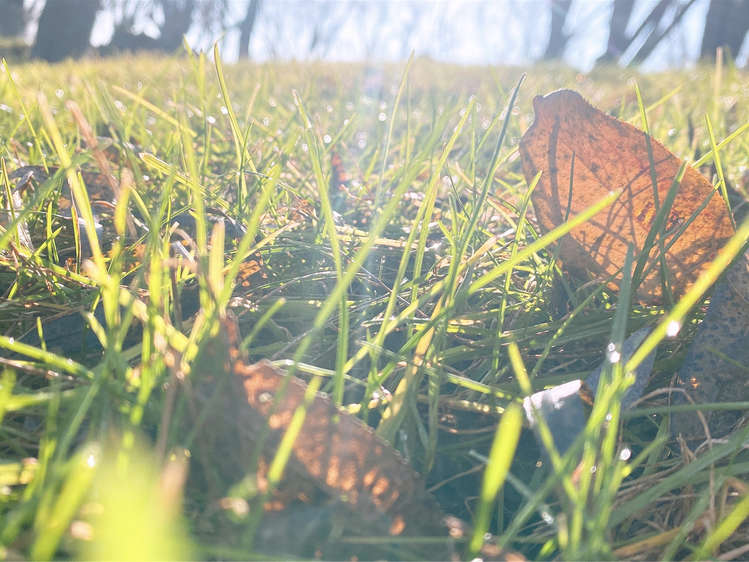 Z6尊龙·凯时(中国)-官方网站