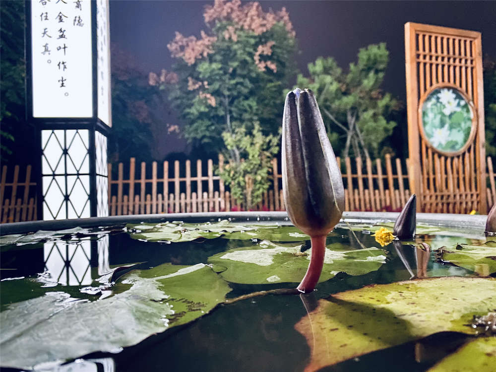 Z6尊龙·凯时(中国)-官方网站