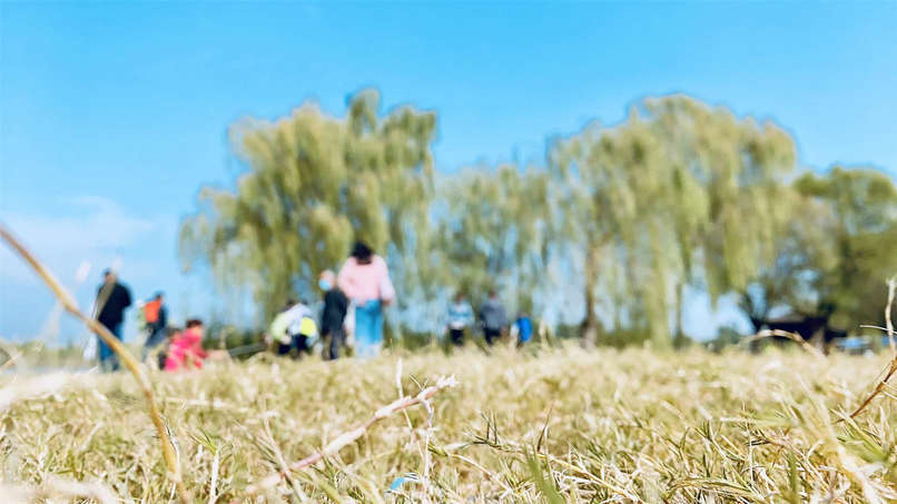 Z6尊龙·凯时(中国)-官方网站